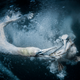 Image for article titled Epic and intimate glimpses of nature from the Sony World Photography Awards